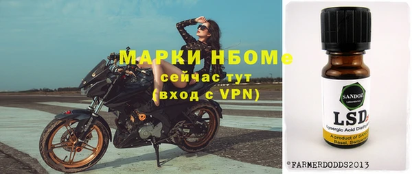 индика Аркадак