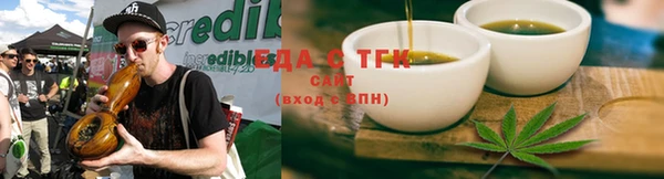 индика Аркадак