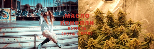 хмурый Арсеньев