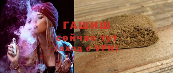 хмурый Арсеньев