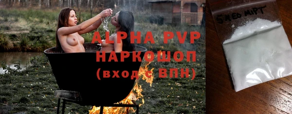 индика Аркадак