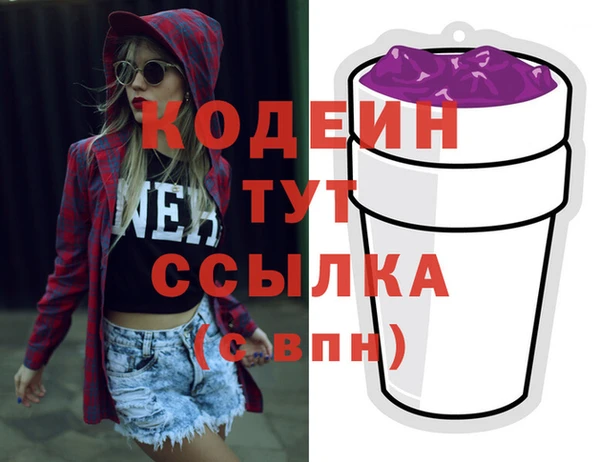 индика Аркадак