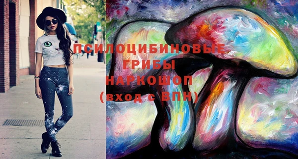 хмурый Арсеньев