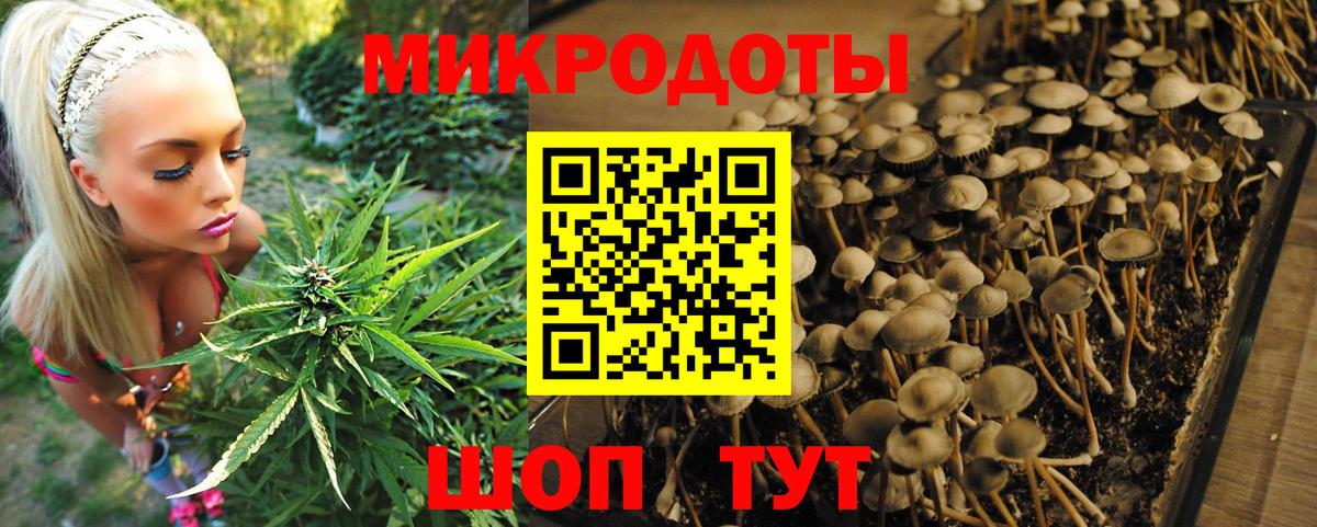 Псилоцибиновые грибы мухоморы Баксан