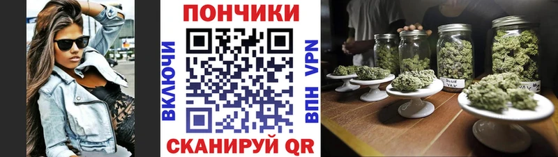 Бошки марихуана сатива  Баксан 